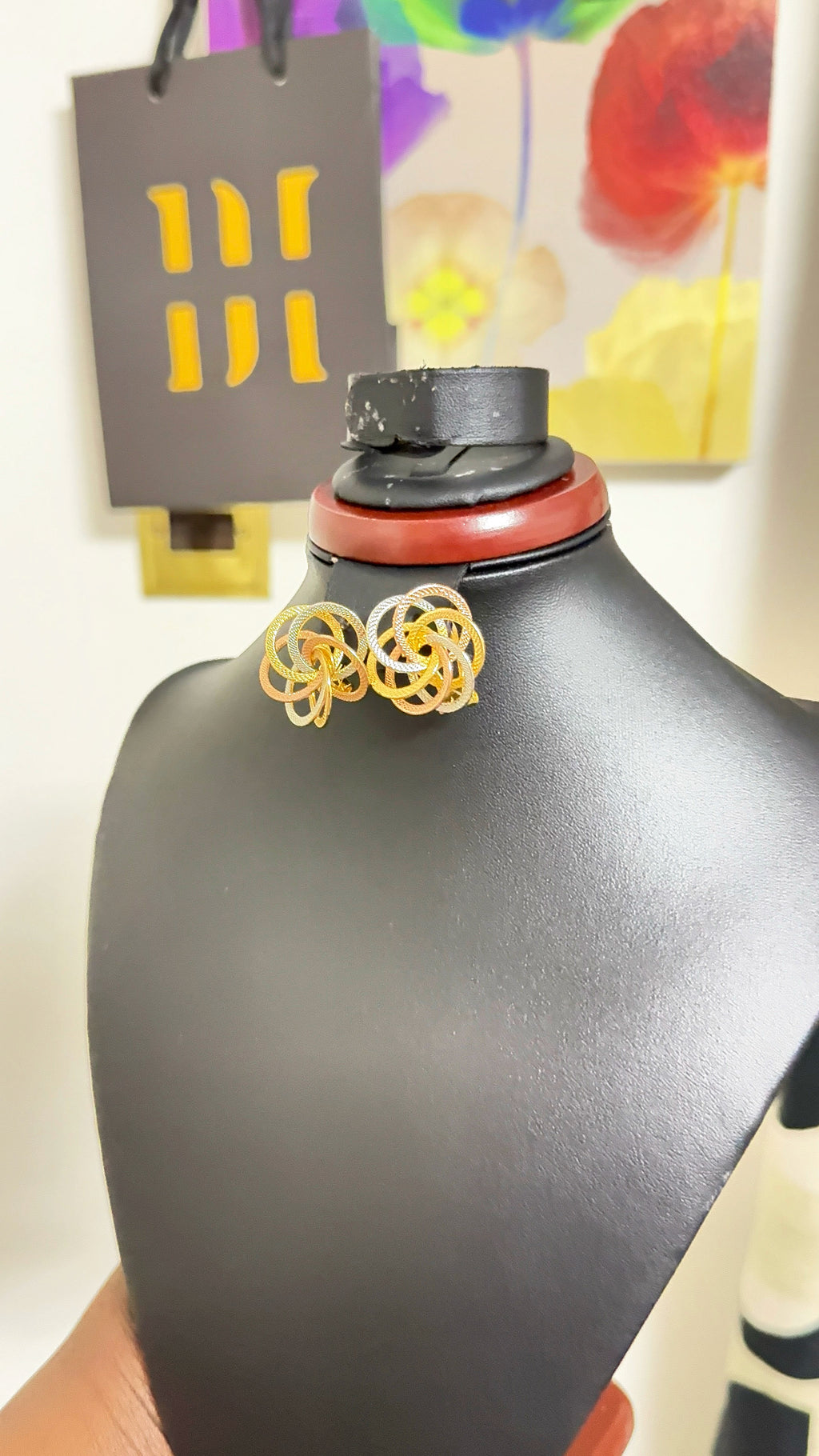 3-toned Classic Titanium Earrings