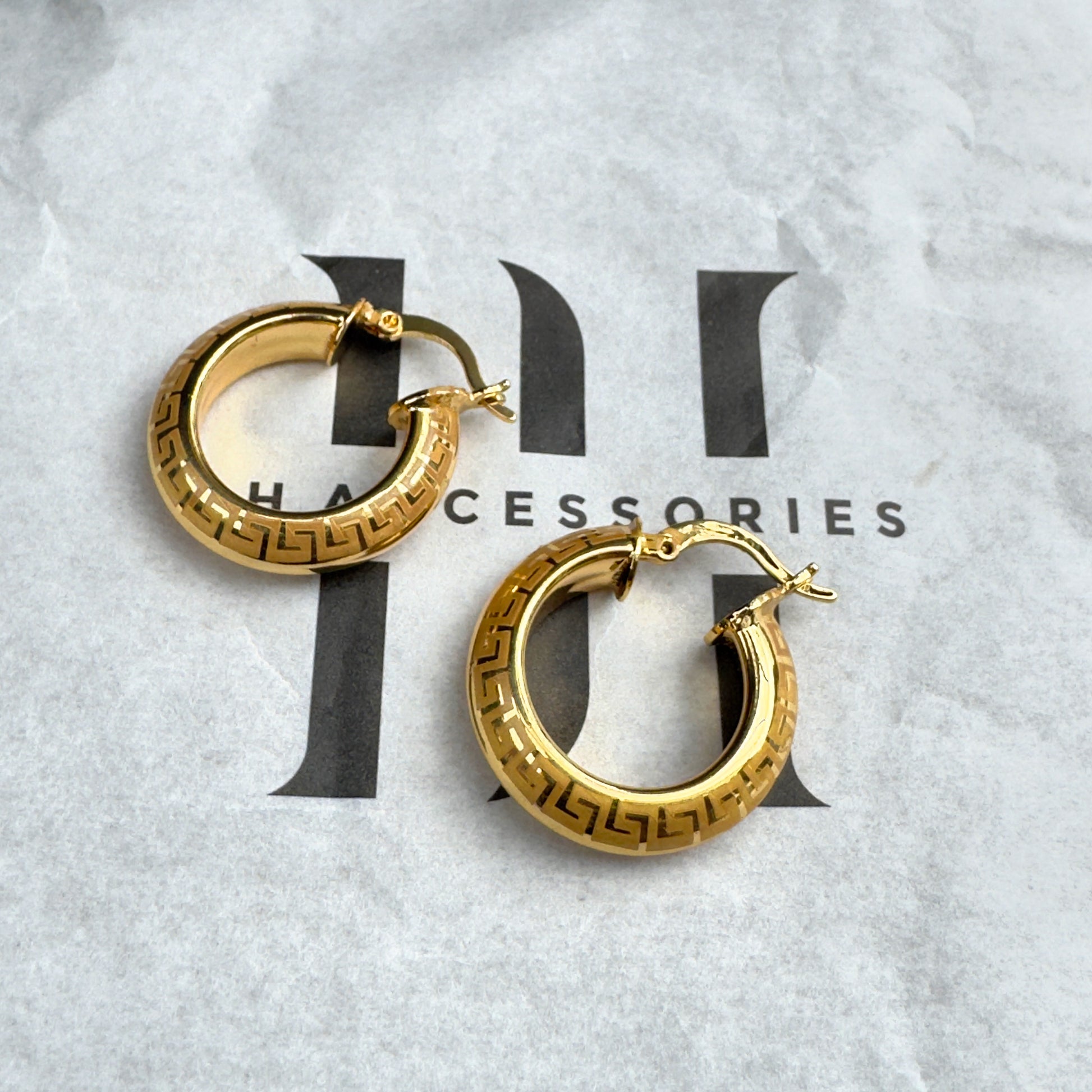Earrings 02