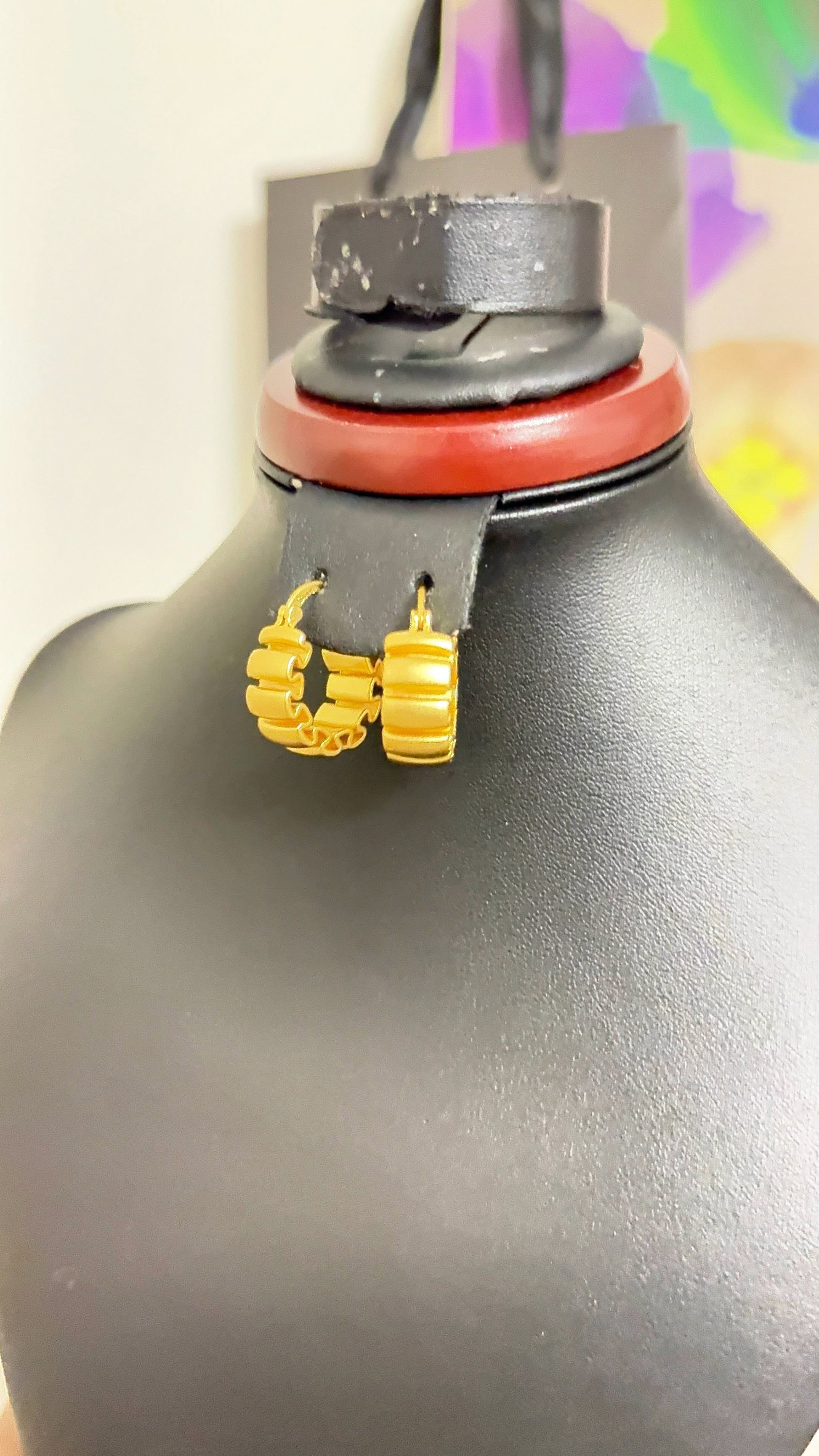 Titanium Earrings