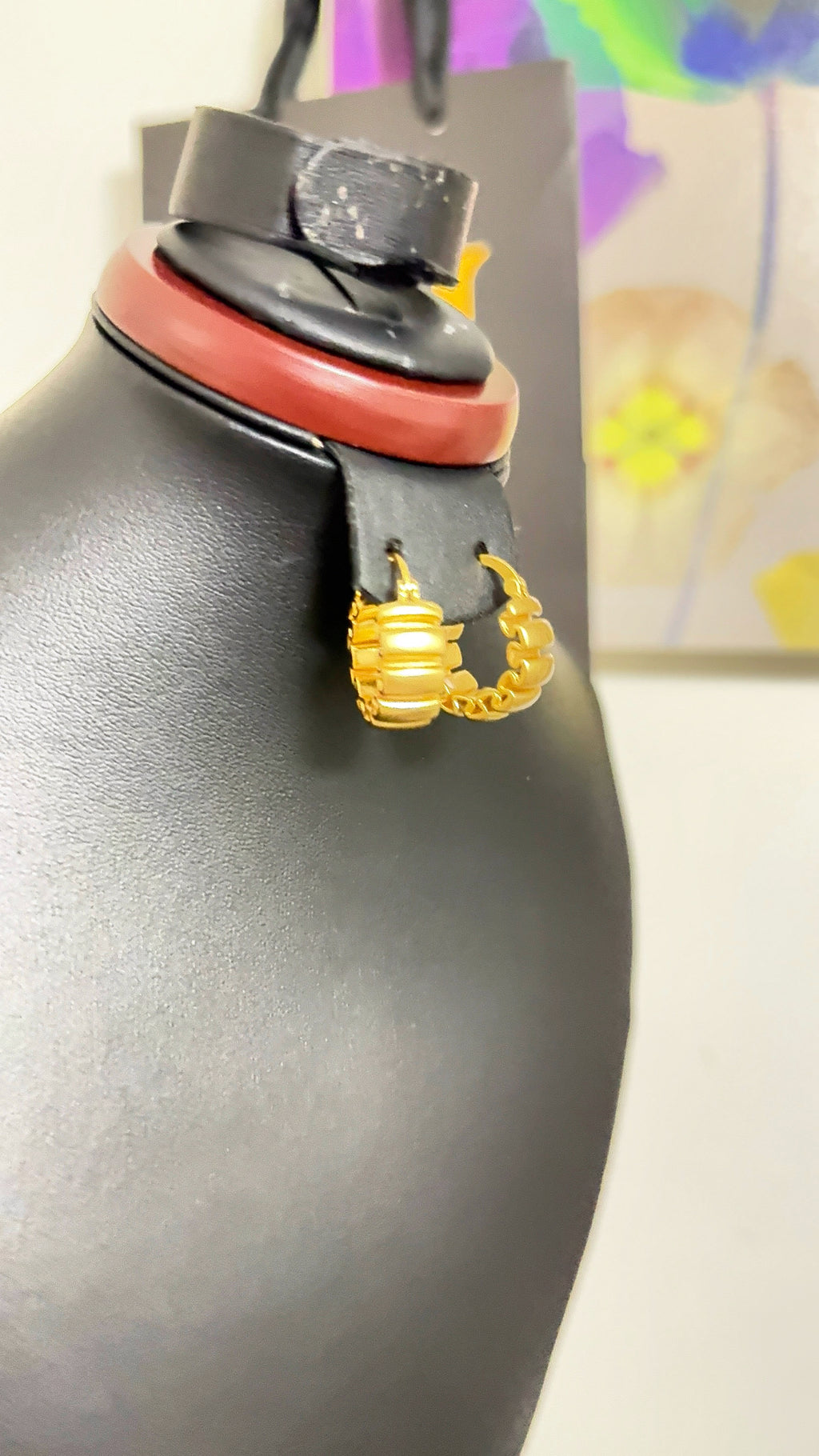 Titanium Earrings