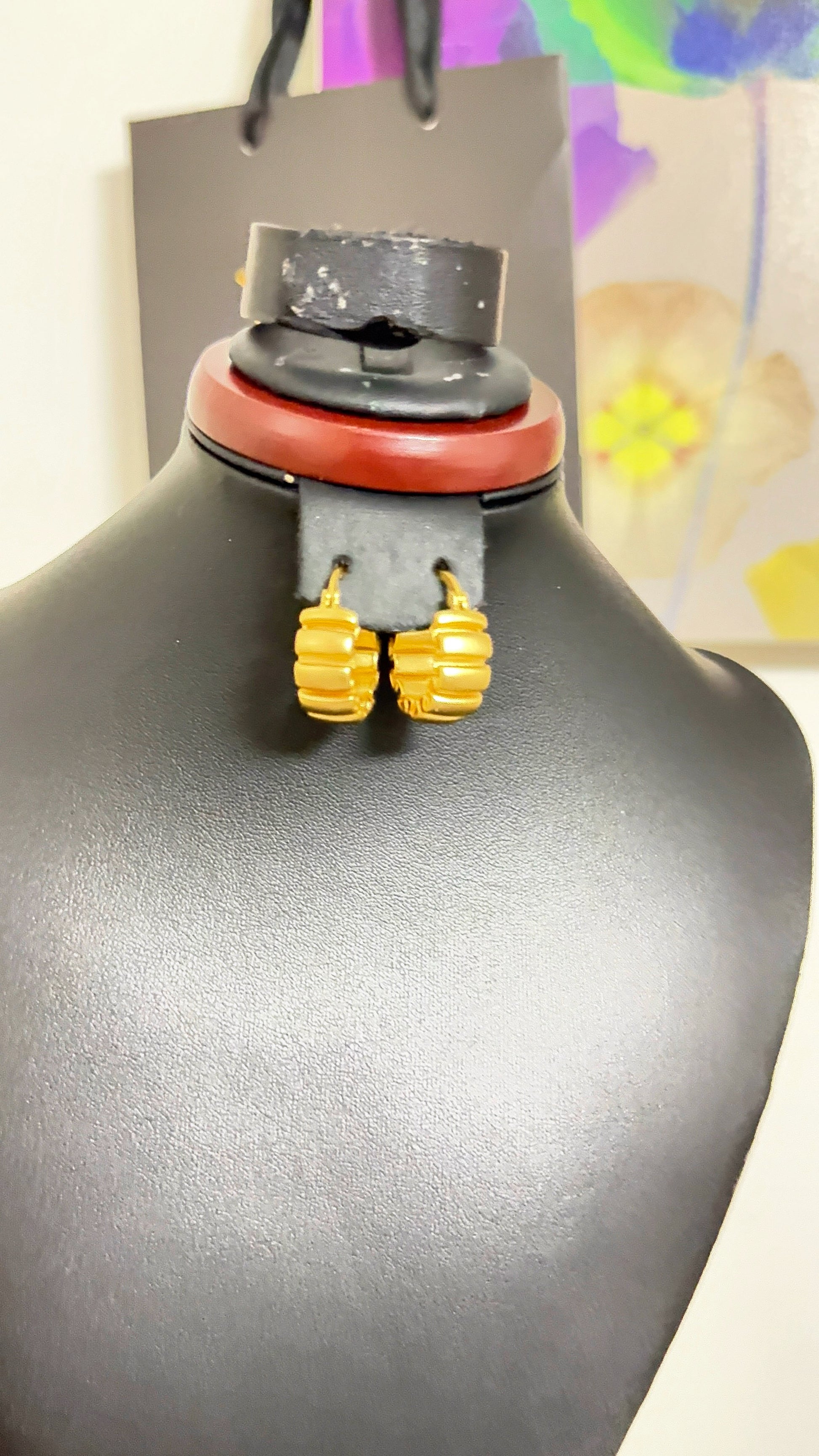 Titanium Earrings