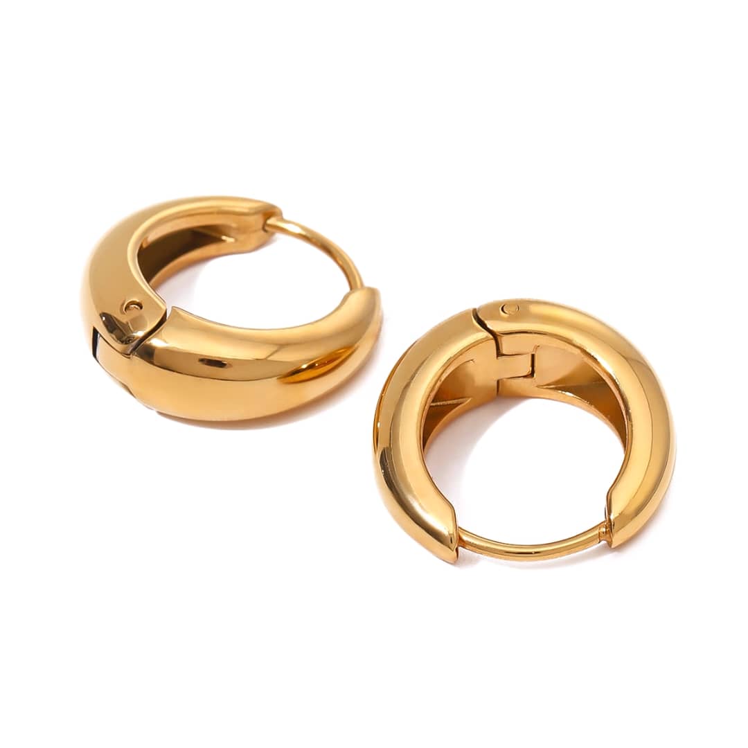 Titanium Adorable Earrings