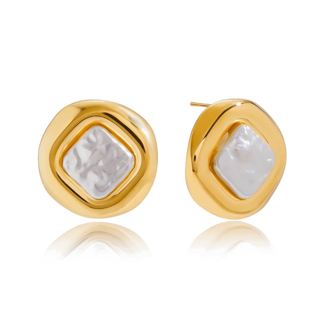 Kim Titanium Earrings