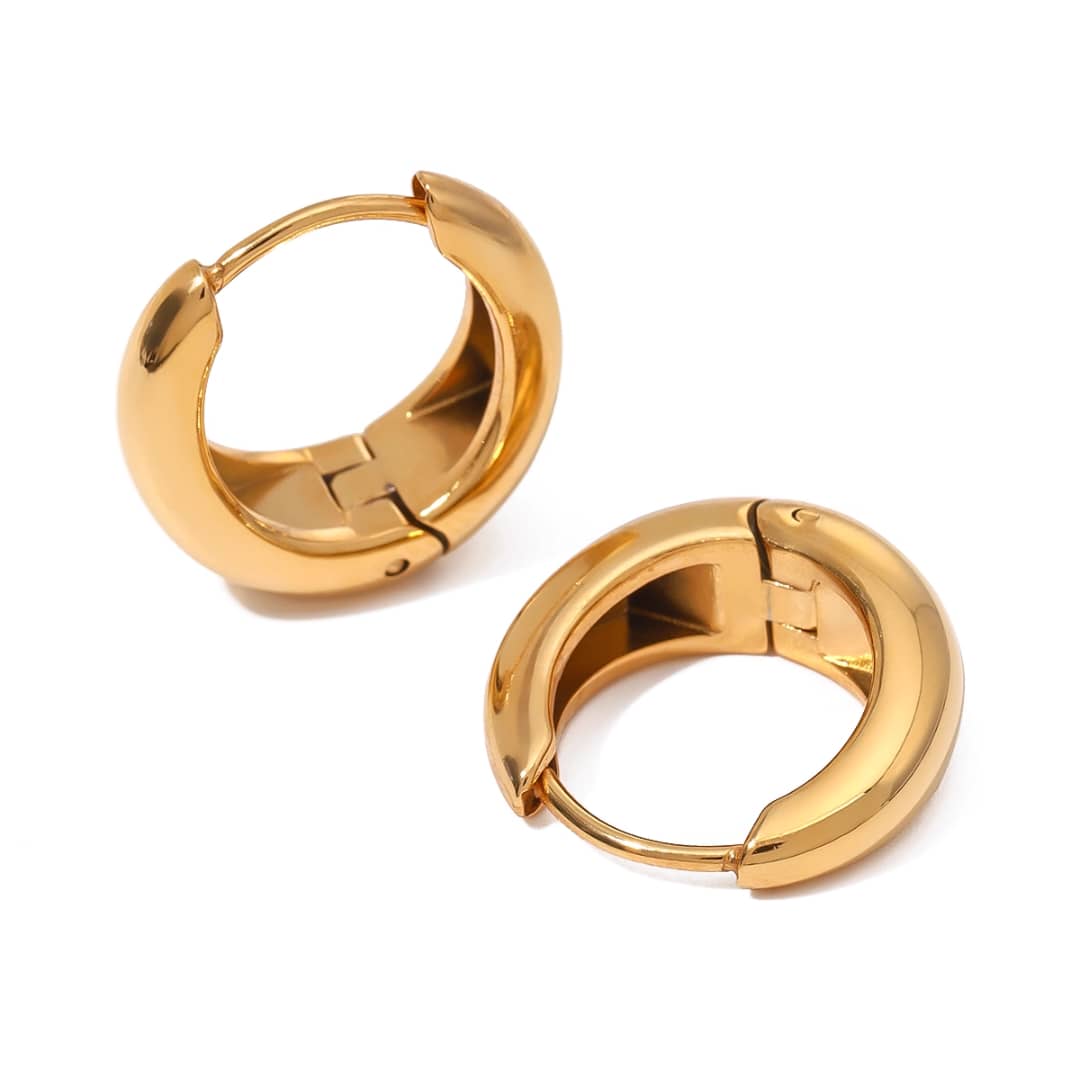 Titanium Adorable Earrings