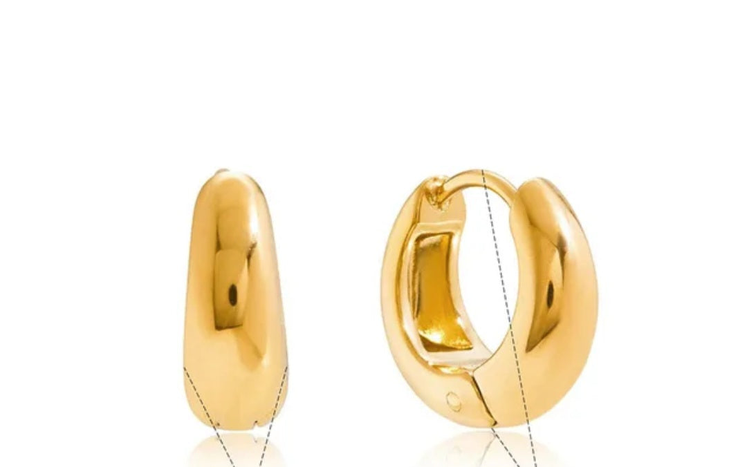 Titanium Adorable Earrings