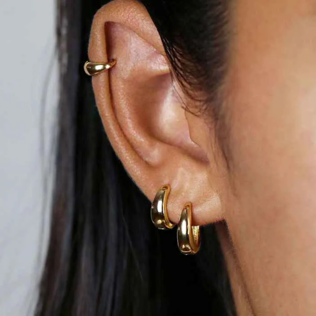 Hoops Titanium Earrings