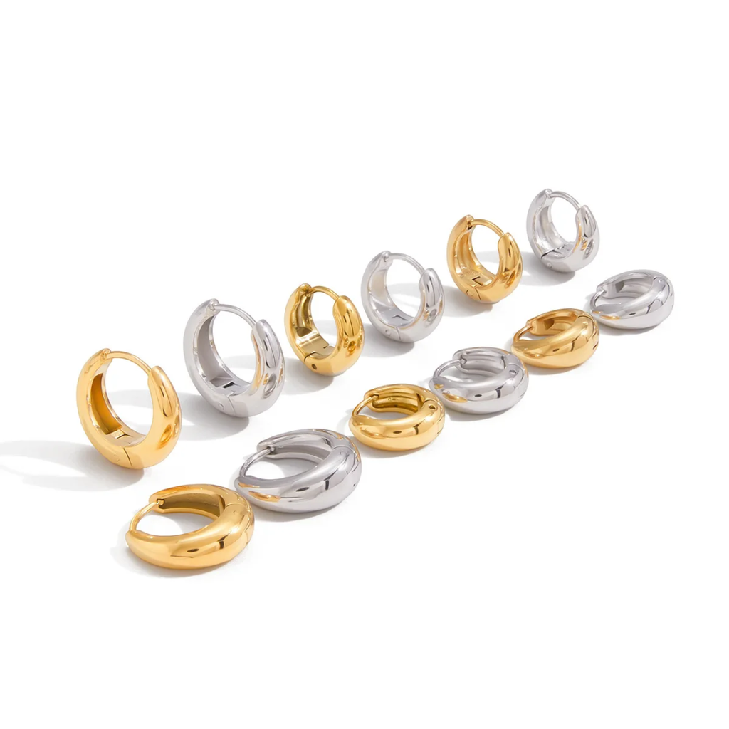 Hoops Titanium Earrings