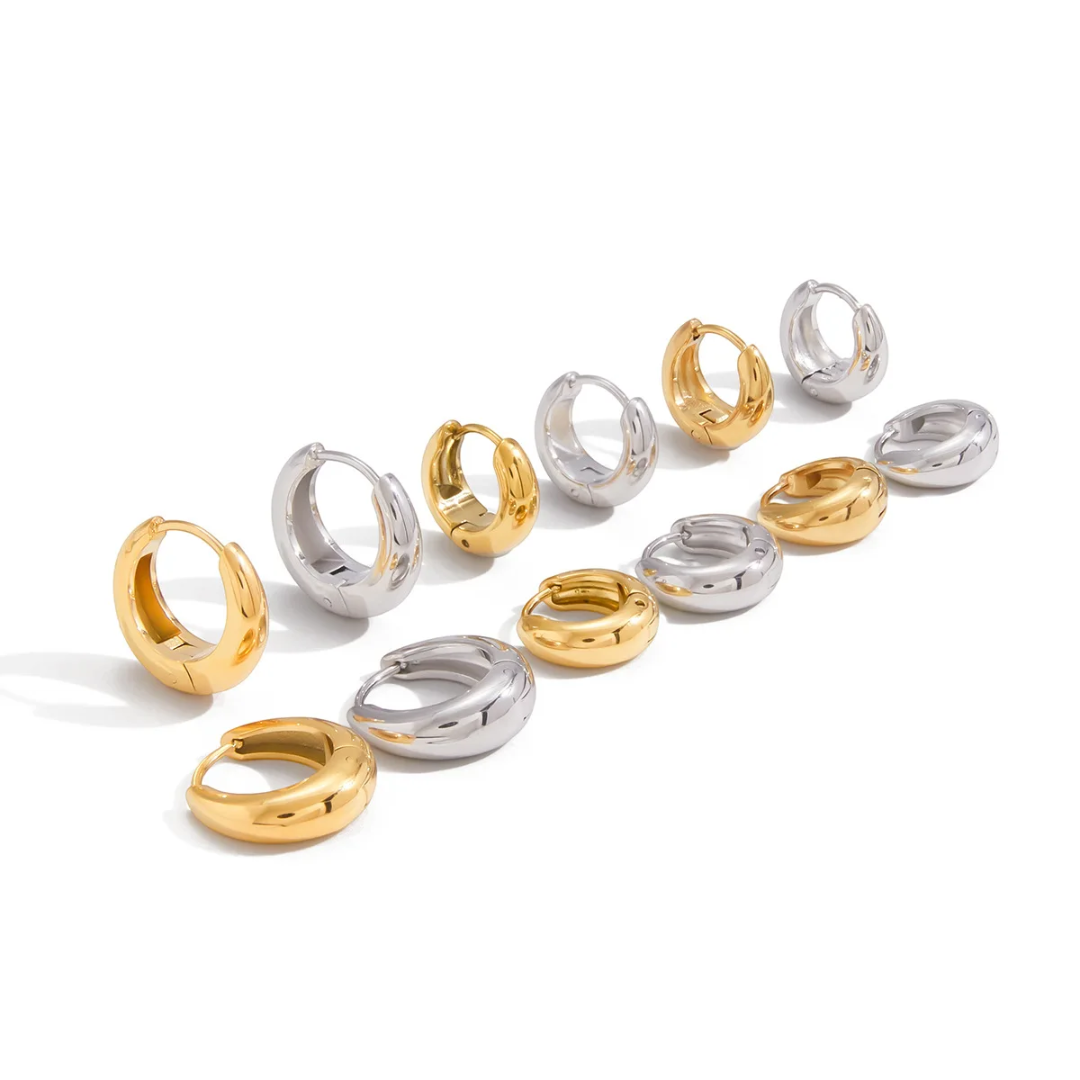 Hoops Titanium Earrings