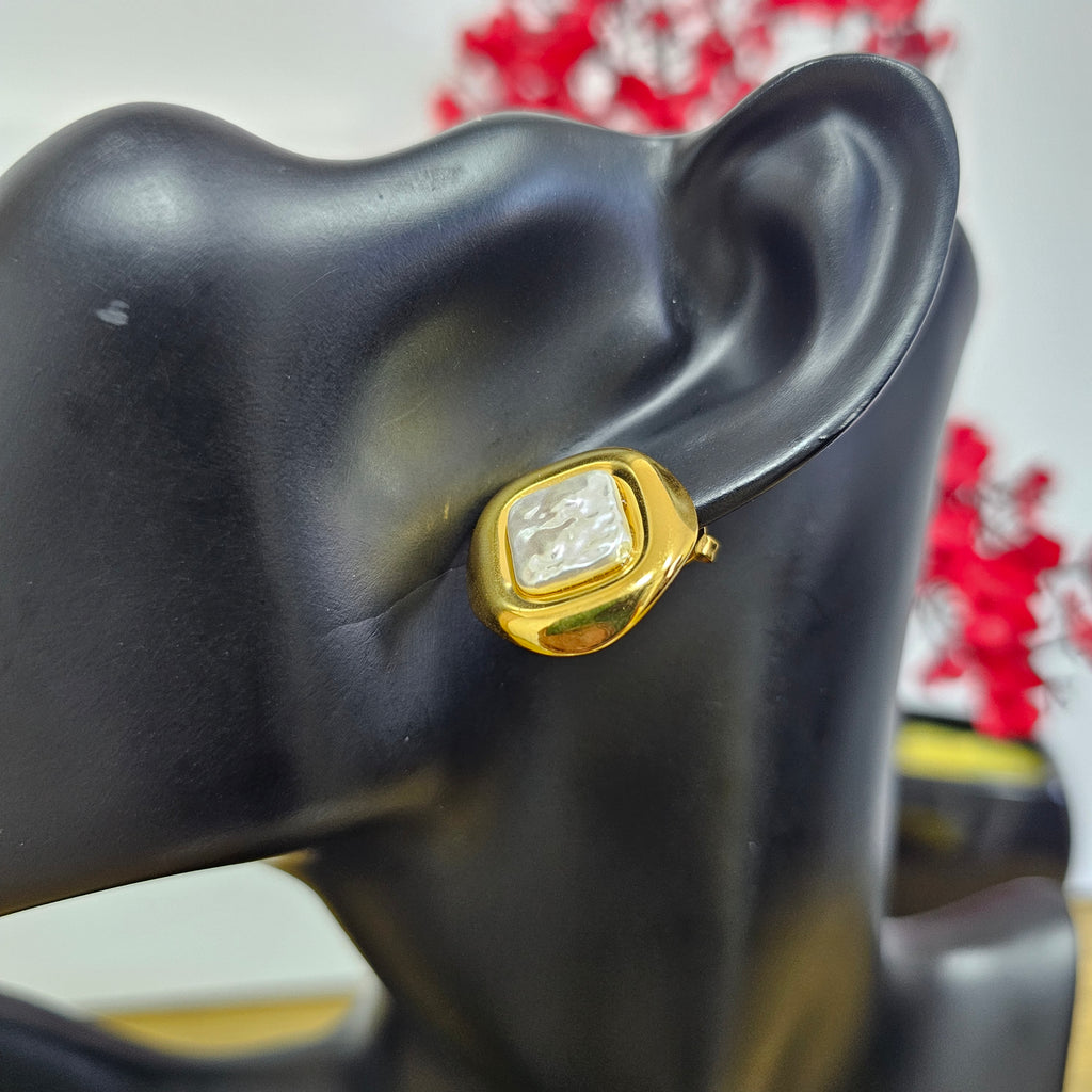 Fashion Earrings 010