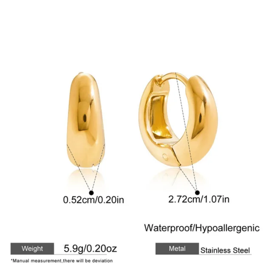 Hoops Titanium Earrings