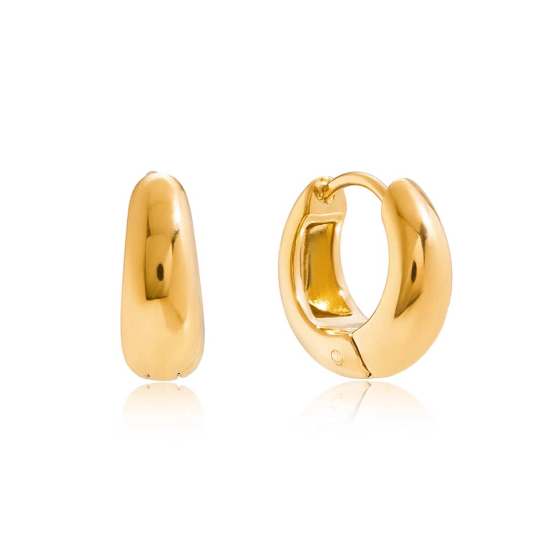 Titanium Adorable Earrings