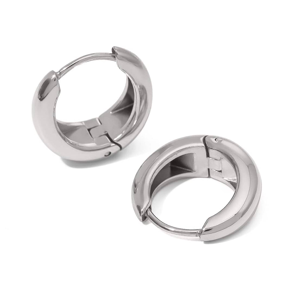 Titanium Adorable Earrings