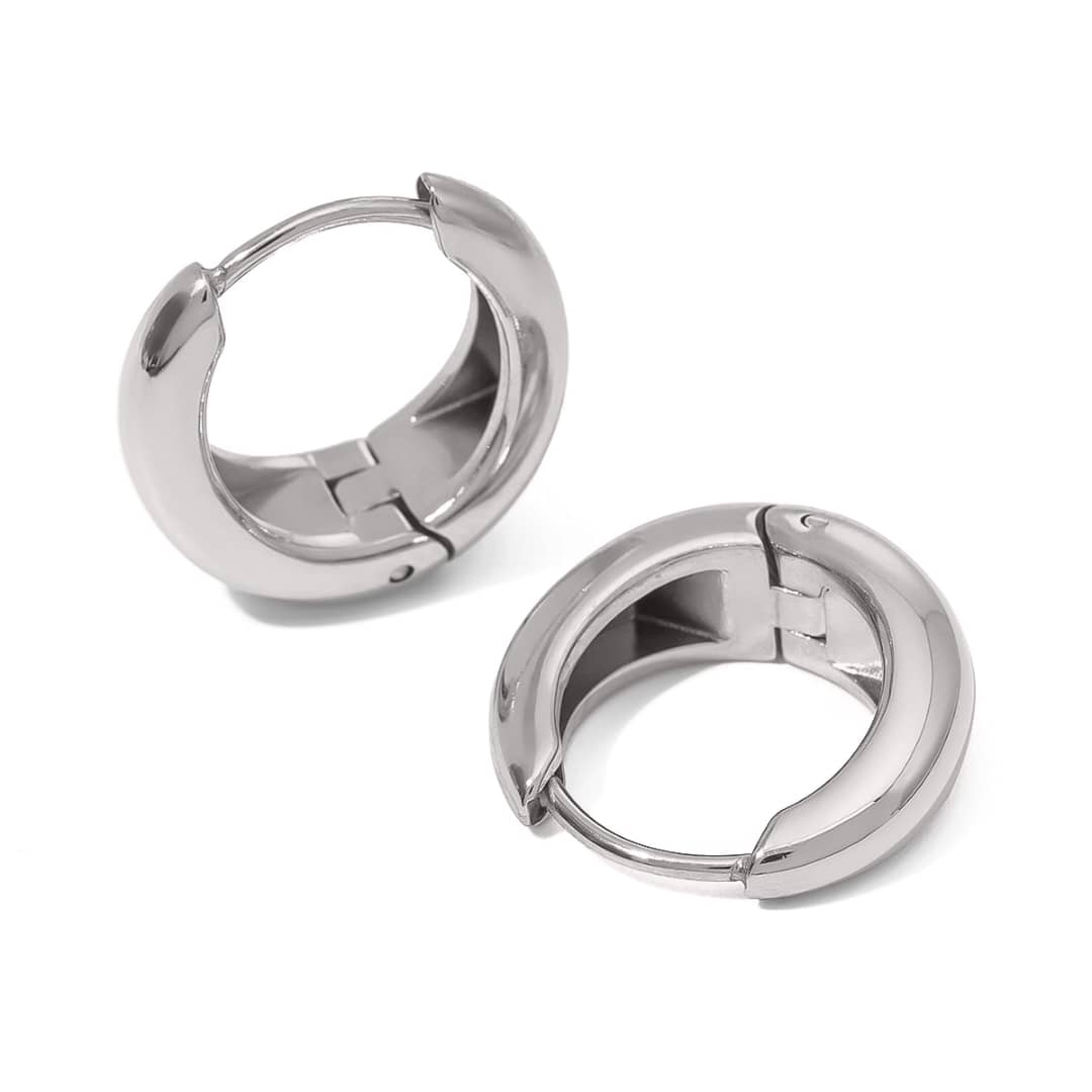 Titanium Adorable Earrings