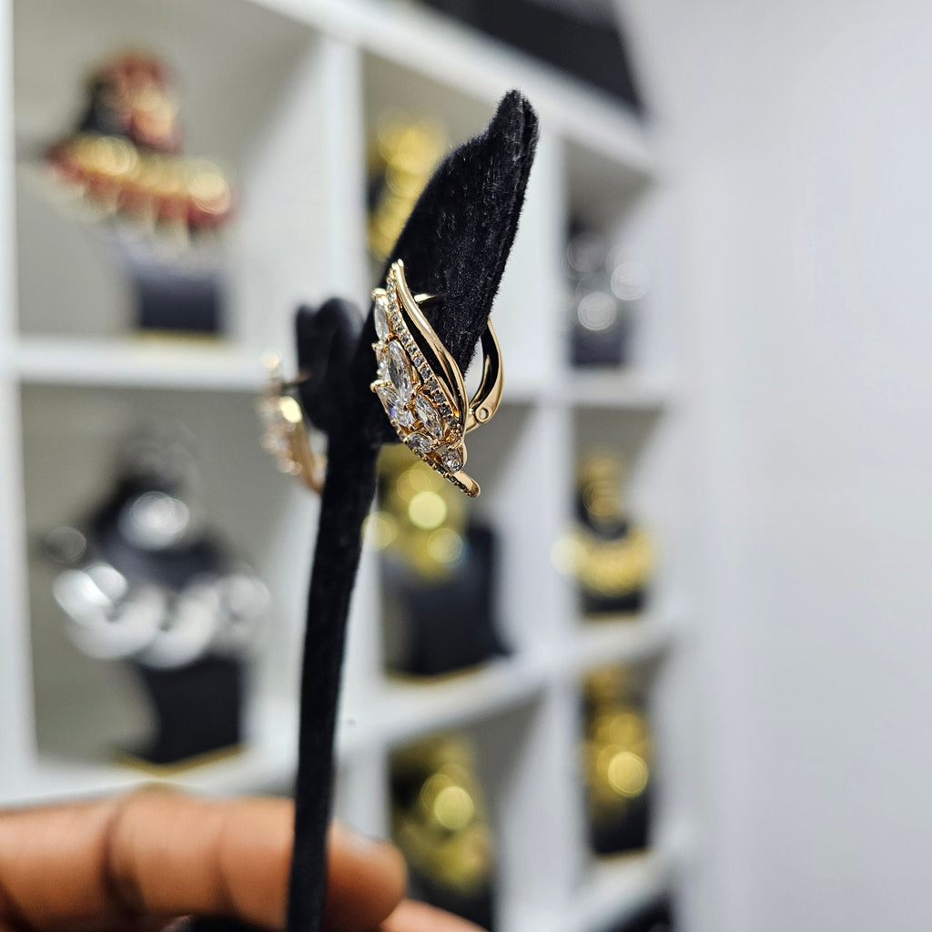 Fashion Earrings 21