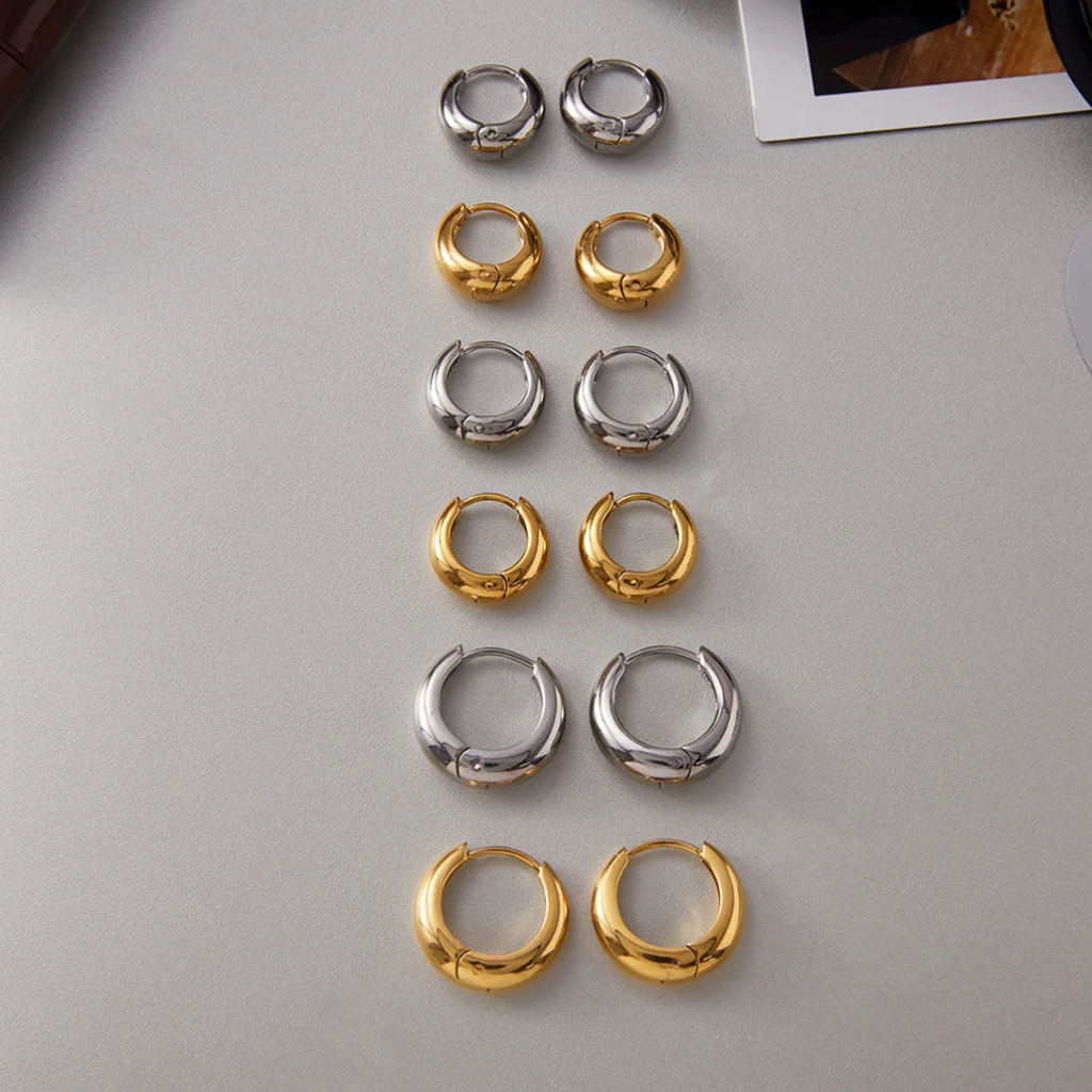 Hoops Titanium Earrings