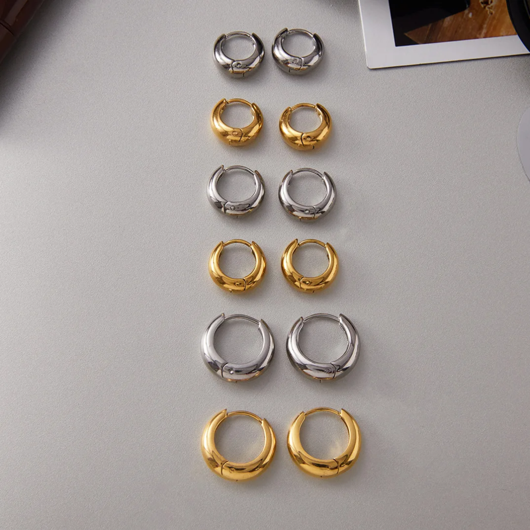Hoops Titanium Earrings