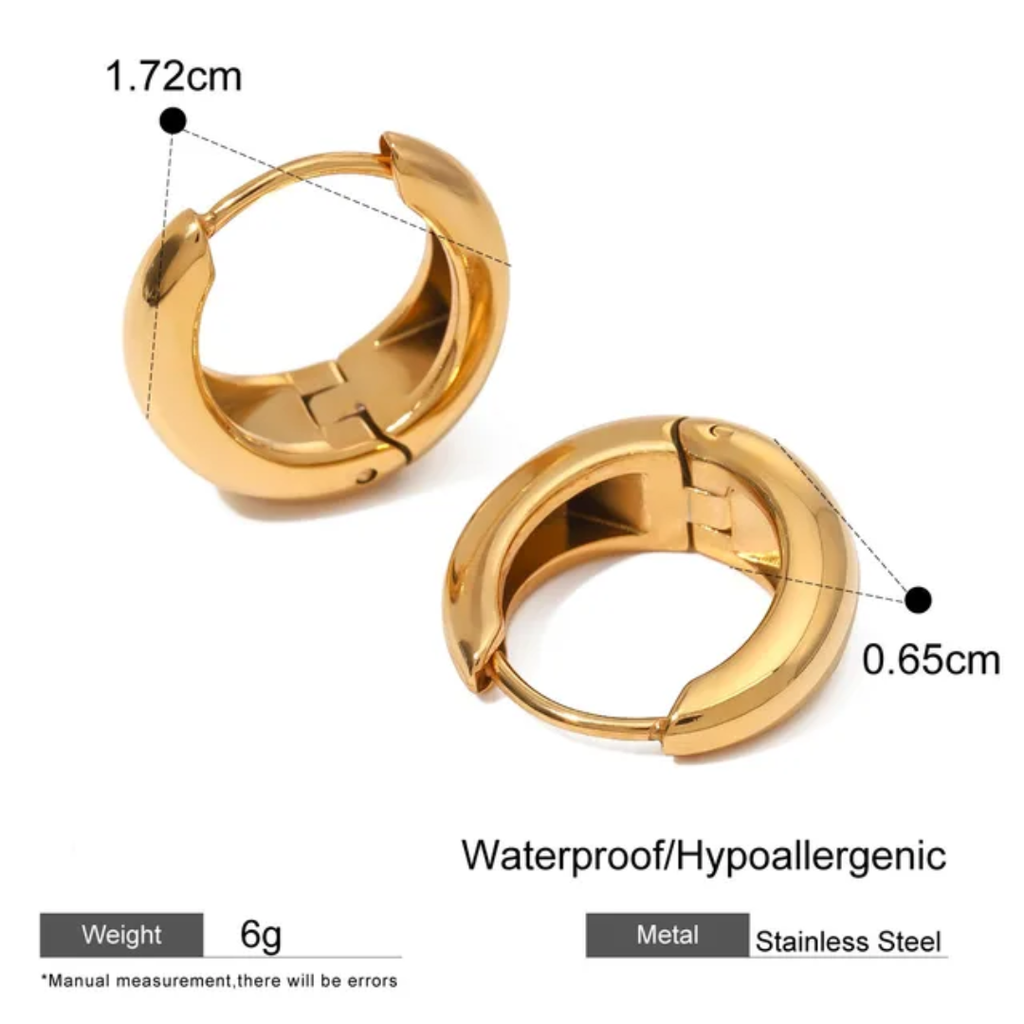 Hoops Titanium Earrings