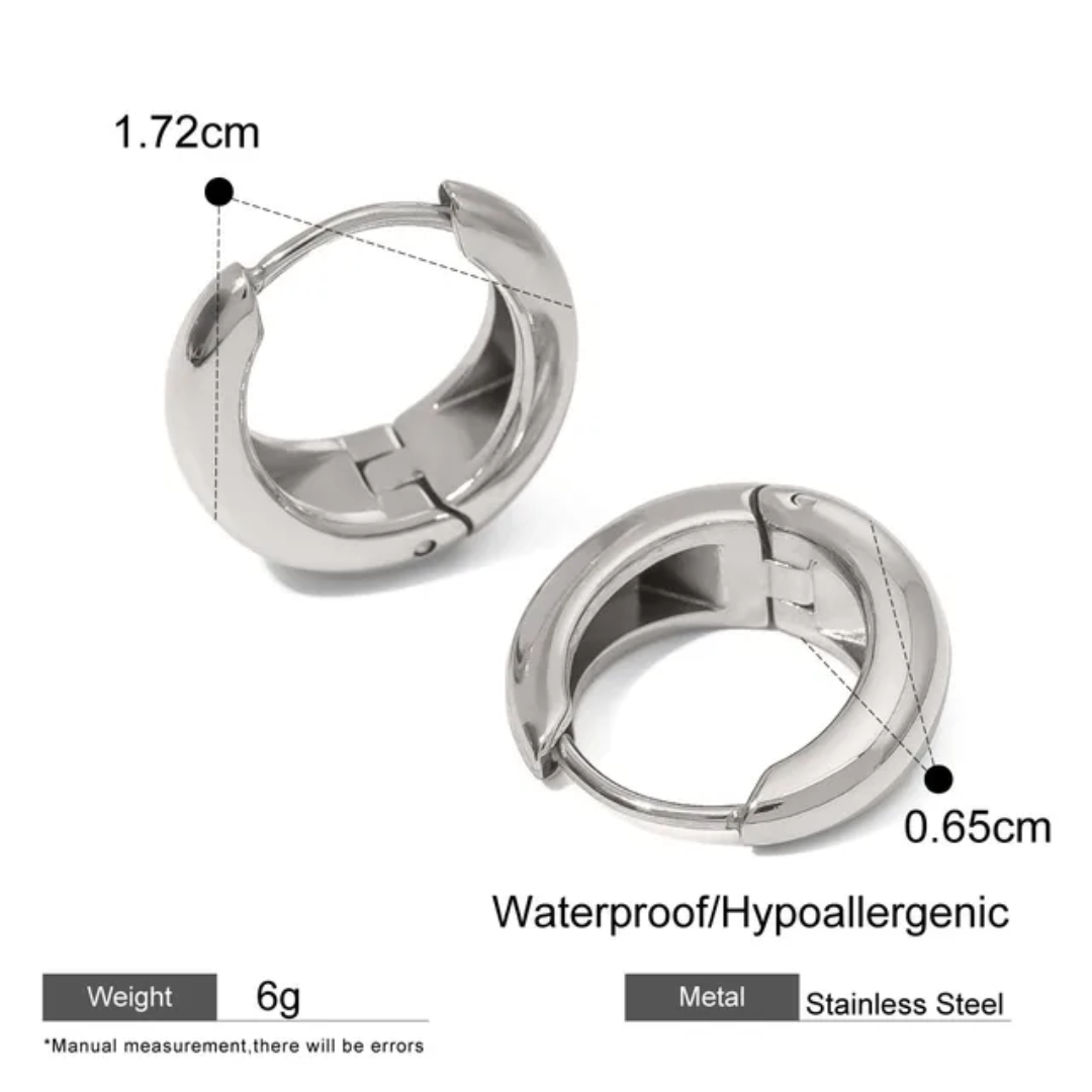 Hoops Titanium Earrings