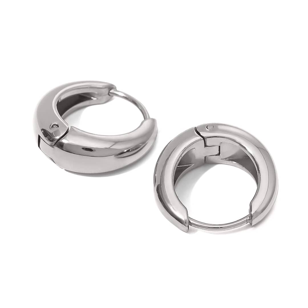 Titanium Adorable Earrings