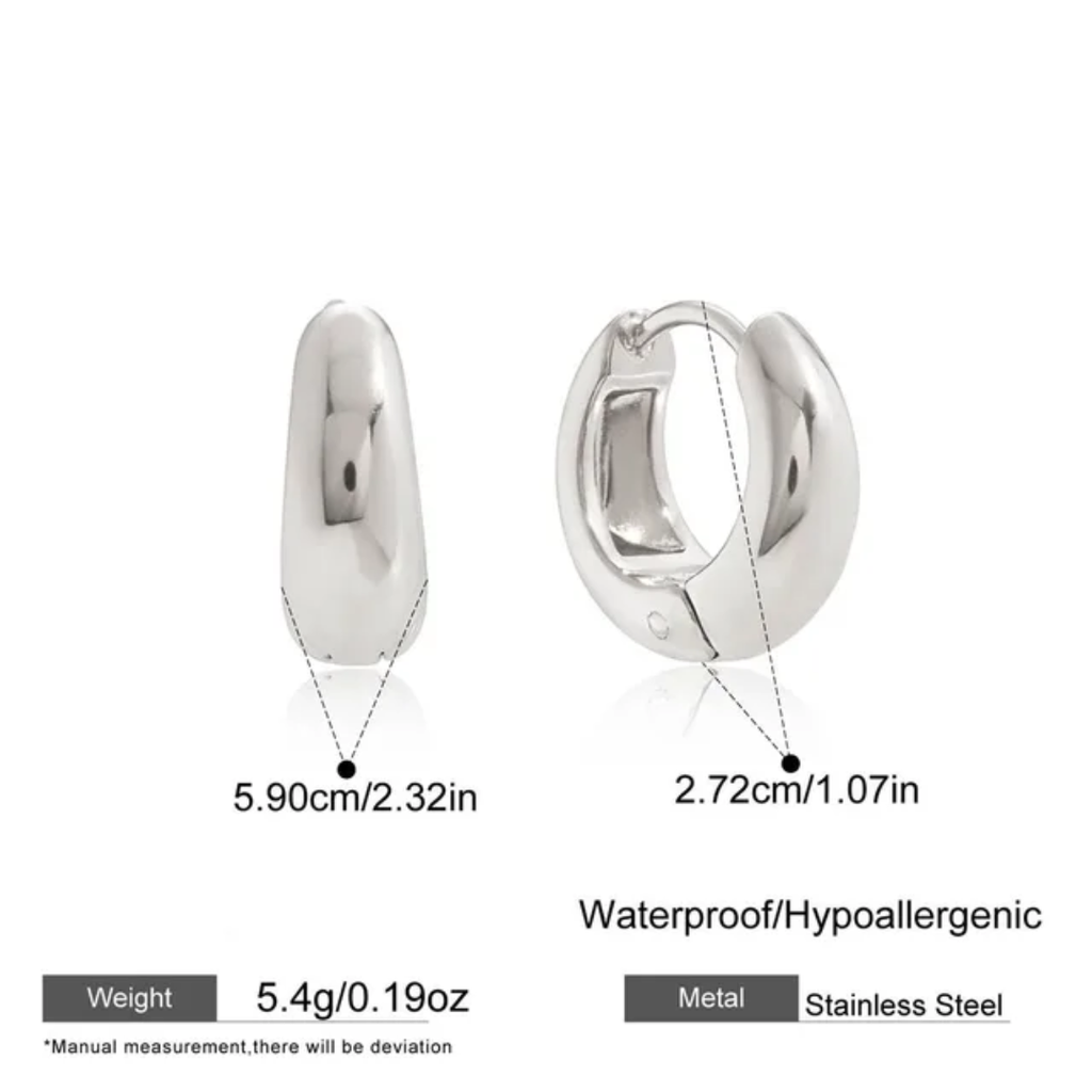 Hoops Titanium Earrings