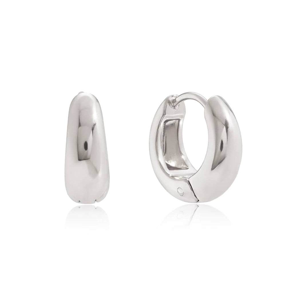 Titanium Adorable Earrings