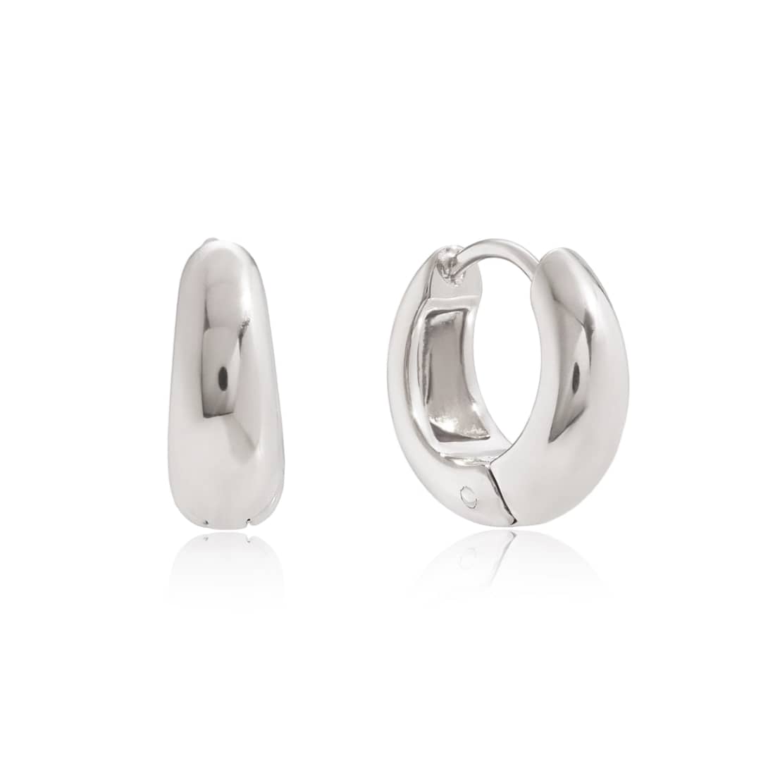 Titanium Adorable Earrings