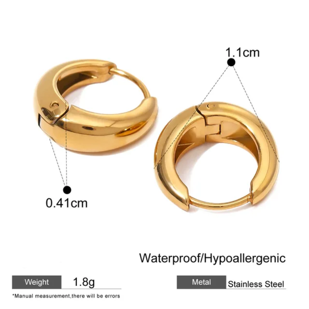 Hoops Titanium Earrings